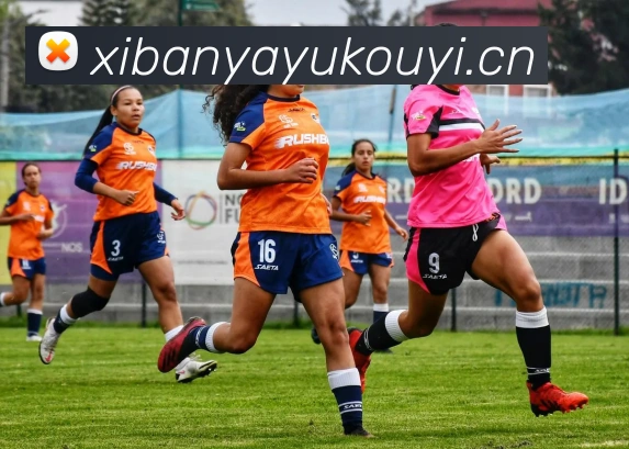 半岛在线登录入口品牌故事