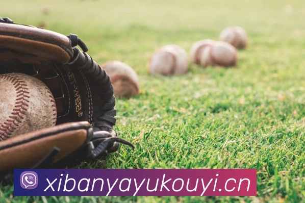 半岛在线登录入口服务体系